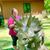 Kimberly Godden's profile image