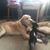 Diane Shunk's profile image
