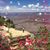 Kathy Lanthorne's profile image