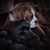Rhonda Conner-Smith's profile image
