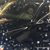 Tanya Hansen-Guarino's profile image