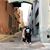 JamesNlisa Tufi's profile image