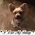 Cathy Johnston's profile image