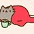 Matthew Moll's profile image