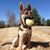 LeeAnn Reese Harter's profile image
