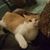 Larry Jackson's profile image