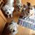Maureen Quale's profile image