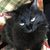 Debbie Hughes Kirk's profile image