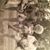 Lori Stone Lockwood's profile image