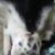 Heather L Schultz's profile image