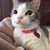 Mary Beth Parchman's profile image