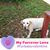Linda C Trail's profile image