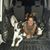 Caryn Goldstein Karotkin's profile image