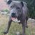 Jayne Rapp's profile image