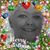Teresa Fisher Scarborough's profile image