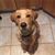 Jill Breaux's profile image