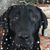 Tammy Mitchell Montgomery-Riddle's profile image