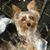 Sheila Maclaine Steeby's profile image