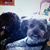 Penny Pucher's profile image