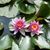 Patricia Vellarino's profile image