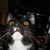 Debra Roidl's profile image