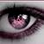 Lori Miller Scandroli's profile image