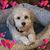 Becky Ann Keyser's profile image