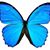 Sherry Lynn's profile image