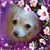 Tricia Fenton Lyles's profile image