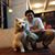 Kingsley Lau's profile image
