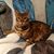Jaclyn Kastrava's profile image