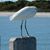 Kathleen Dion's profile image