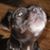 Teresa Wolf Johnson's profile image