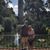 Sharie Sawyer Douglas's profile image