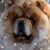 Laura Stoops's profile image