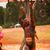 Malik Singletary's profile image