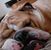 Maribel Martinez's profile image