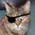 Richard Howes's profile image
