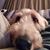 Donna Lozaw's profile image