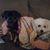 Annie Forschler's profile image