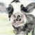 Tammy Evans's profile image