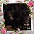 Tocoi River's profile image