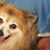 Carolyn Lyrenmann's profile image