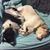Tricia Renzi Grow's profile image