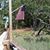 Diane Naus's profile image