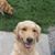 Karen Stephens Shipley's profile image