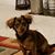 Wayne Loeschke's profile image