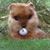 Oscar Elef Arroyo's profile image