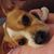 Amanda Woods Vanderhoff's profile image