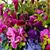 Maria De Lourdes's profile image